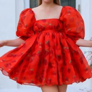 Red Strawberry Print puff Dress